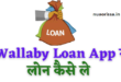 Wallaby Loan App