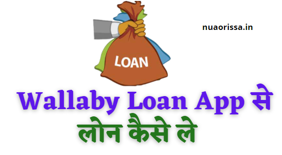Wallaby Loan App